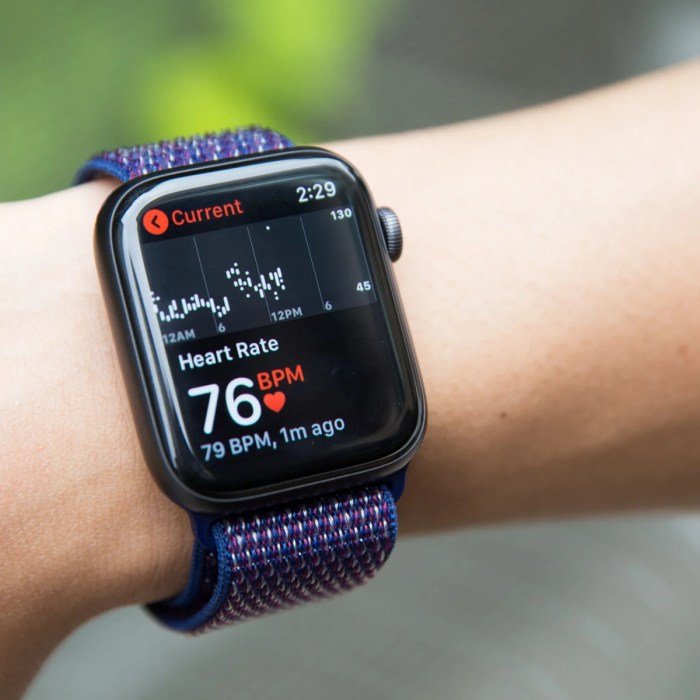 Apple wa health