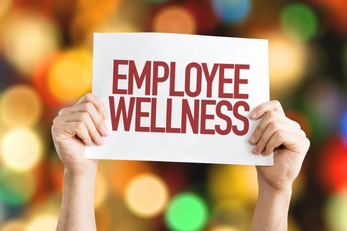 Wellness consultancy programs prem wellnes