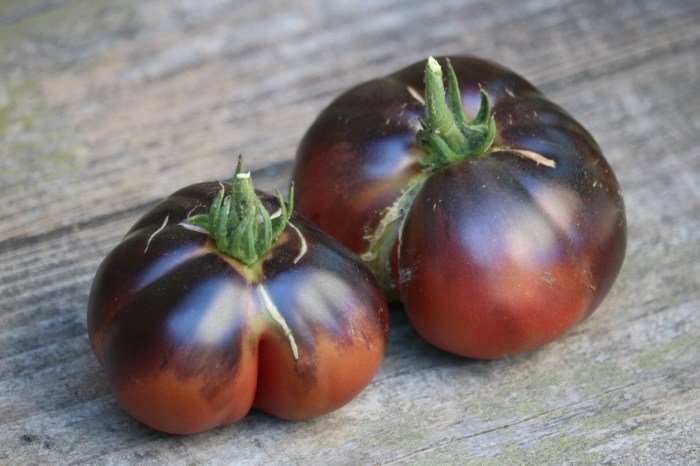 Beauty tomato ripe when