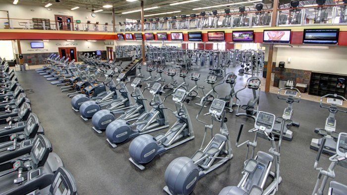 Onelife fitness mclean