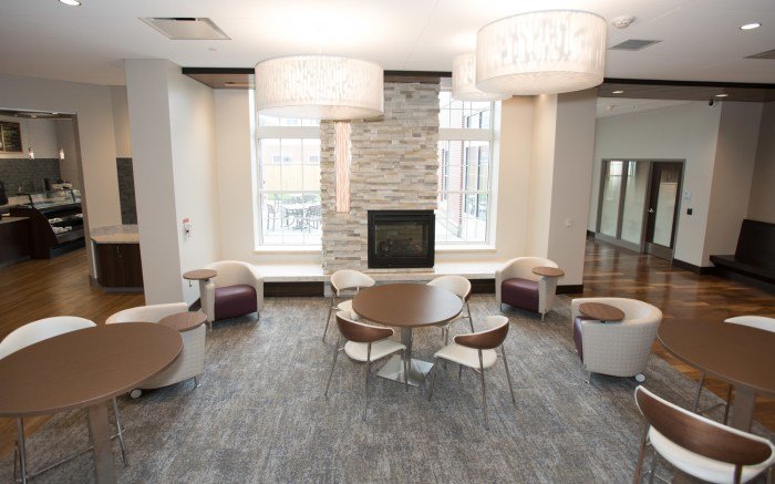 Rogers mental health