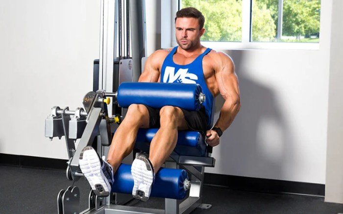 Leg workout day workouts week equipment legs men exercise fitness weight exercises do women without equestrian guide easy weights visual