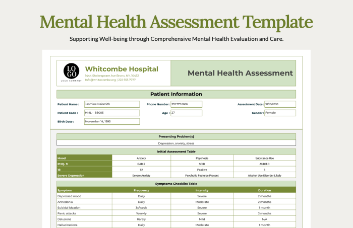 Mental health status exam