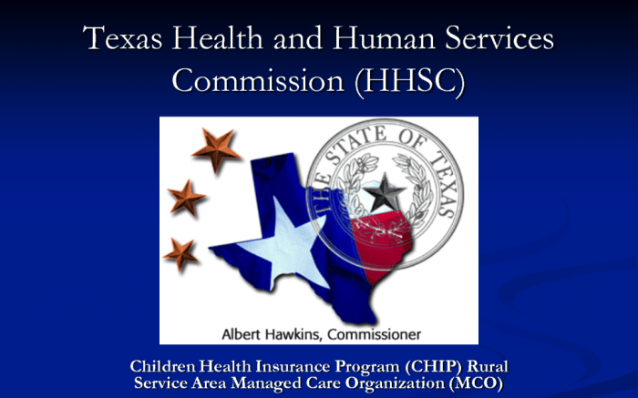 Texas health services human