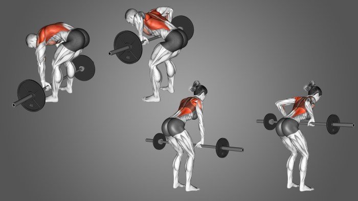 Barbell workout ab
