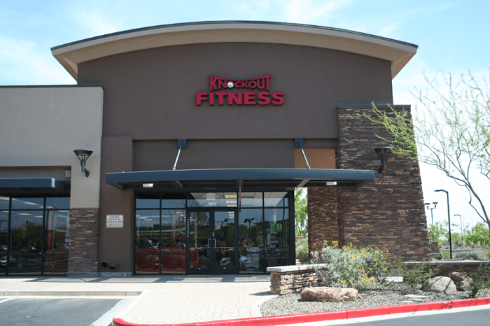 Knockout fitness