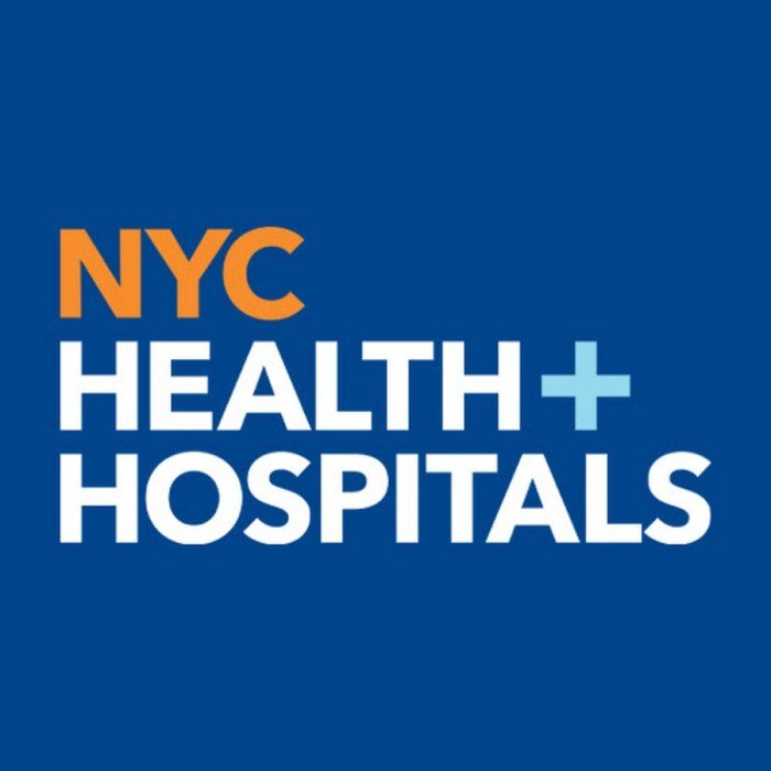 Hospitals health york corporation city fiscal challenges facing cbcny figure appendices including report years