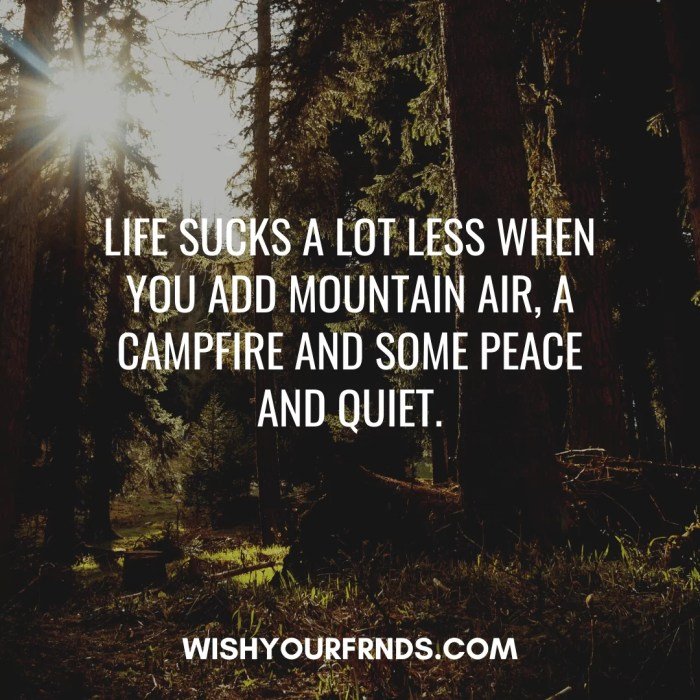 Nature and beauty quotes