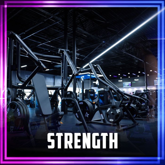 Amped fitness plantation