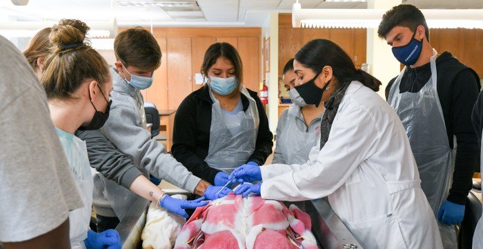 Science health jobs majors degree major career university year benezra sam ago medicine