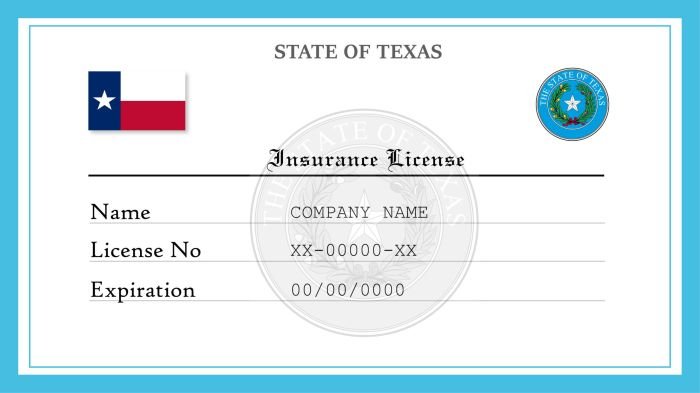 Health insurance lic
