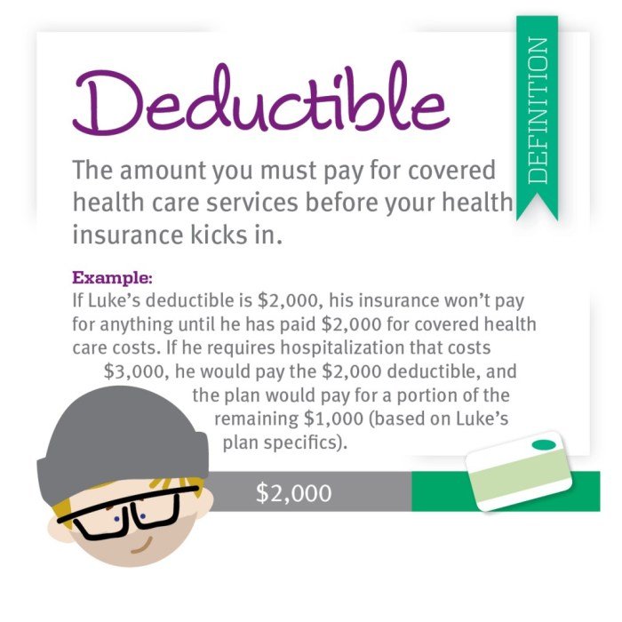 Deductible deductibles coinsurance healthmarkets copays towards canonprintermx410 expenses consumer anthem responsible
