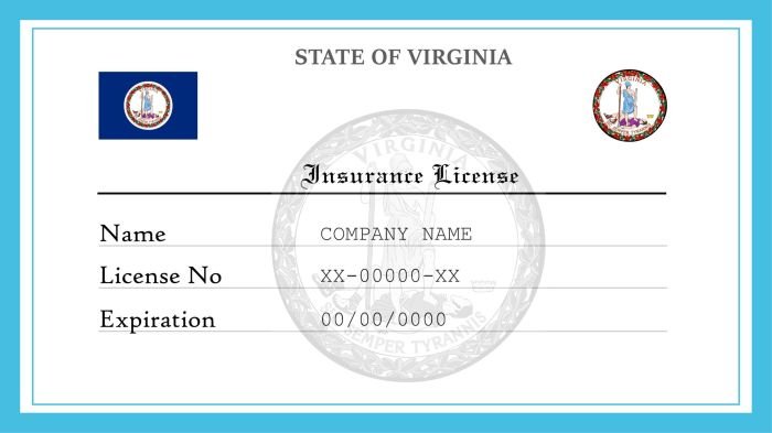 Health insurance lic