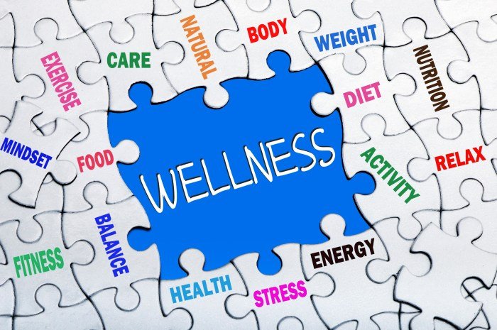 Program for health and wellness