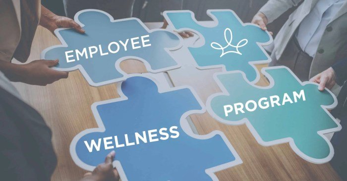 Program for health and wellness