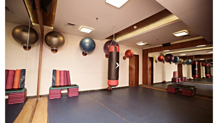 Dolphins fitness club