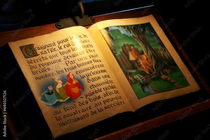 Sleeping beauty book series