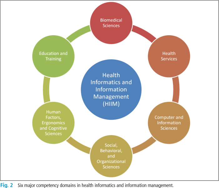 Health him management information healthcare standards significance advantages data
