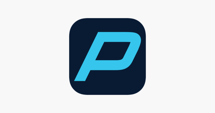 Pinnacle healthcare advisors achieving peak performance