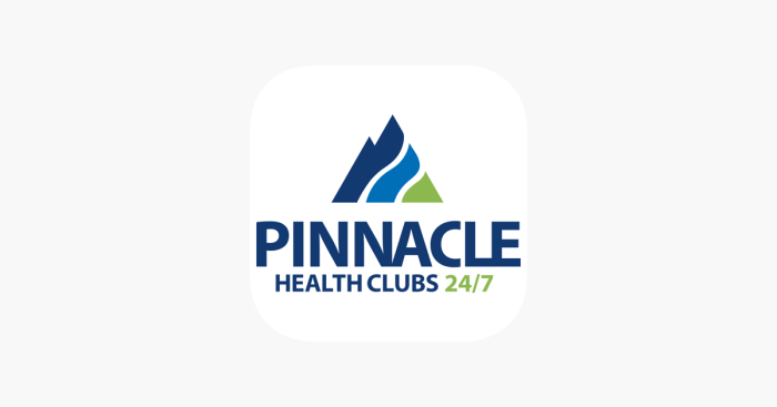 Pinnacle healthcare consulting skip