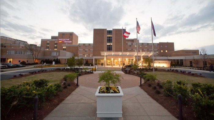 Volunteers wellstar east cobb seeks health park