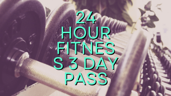 La fitness 3 day pass