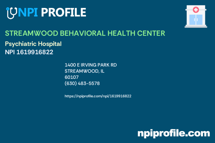 Healthcare behavioral streamwood system patients finds celebrate holidays staff ways creative patch cheer holiday days