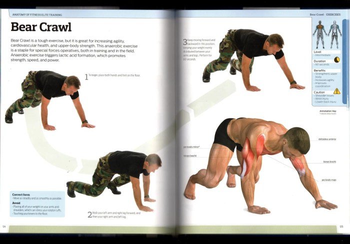 Bears fitness