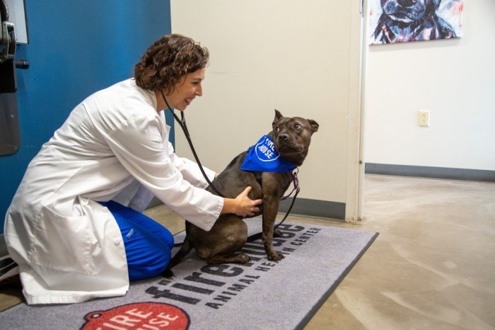 Firehouse animal health center