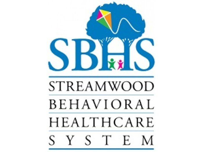 Health behavioral hospital child adolescent services mental behavior project facility pdf calming