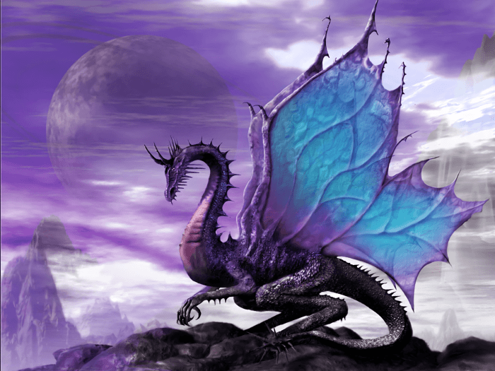 Dragun beauty