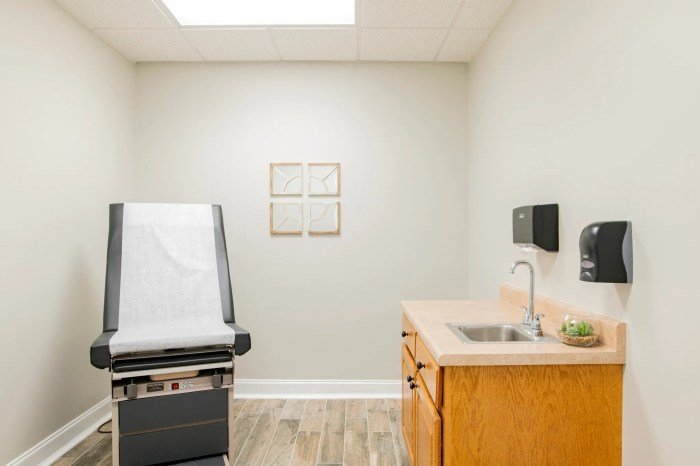 Falcon health