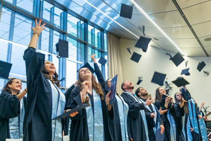 Online master degree public health