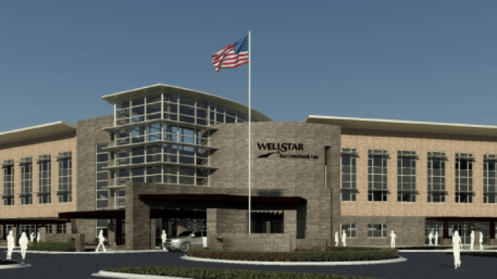 Cobb wellstar
