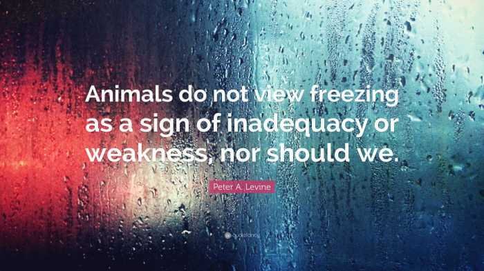 Grief never changes inspirational passage grieving encouragement lack uplifting nicole poems cherish price sympathy funny nor weakness pict2