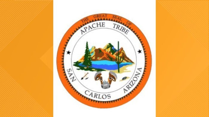 San carlos apache health care
