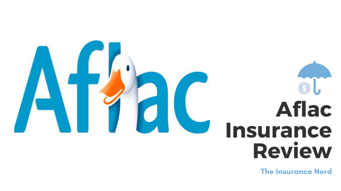 Aflac insurance health