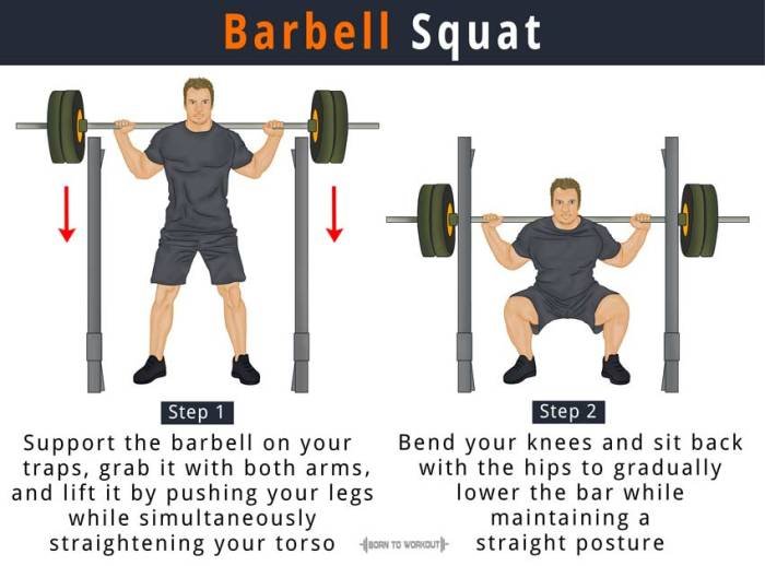 Bar fitness