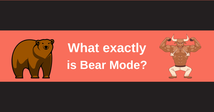 Bears fitness
