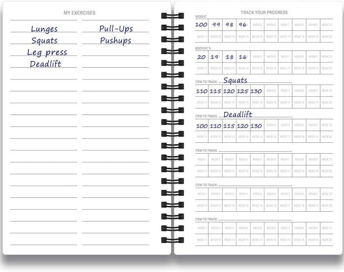 Fitness journaling