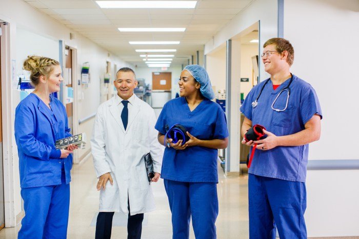 Online mental health nurse practitioner programs