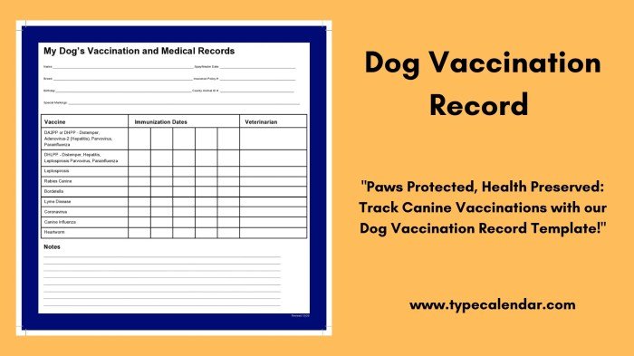 Health certificates for dogs