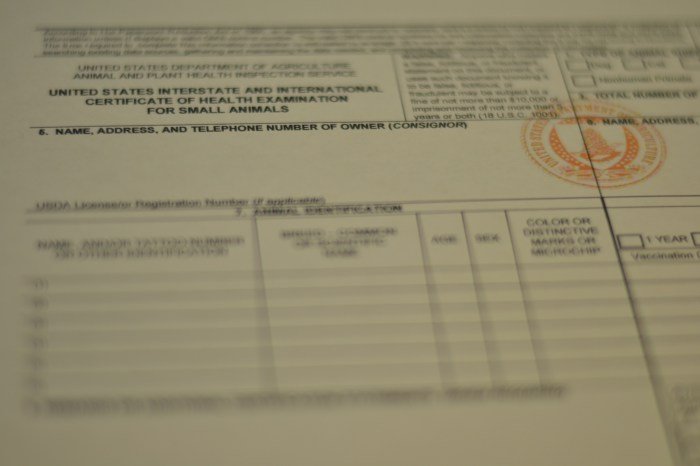 Health certificates for dogs