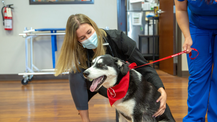 Firehouse animal health center