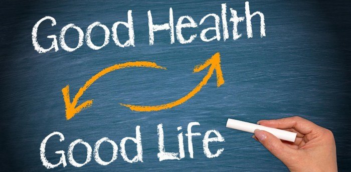 Health better good sea steps healthy year cucumber cucumbers aim well important wellness posted leave stay impotence joint provides fatigue