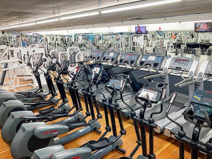 Dolphins fitness club