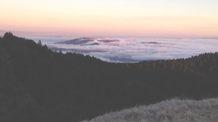 California health wellness