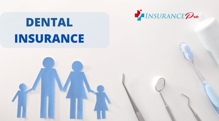 Dental insurance plans florida