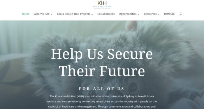 Koala health
