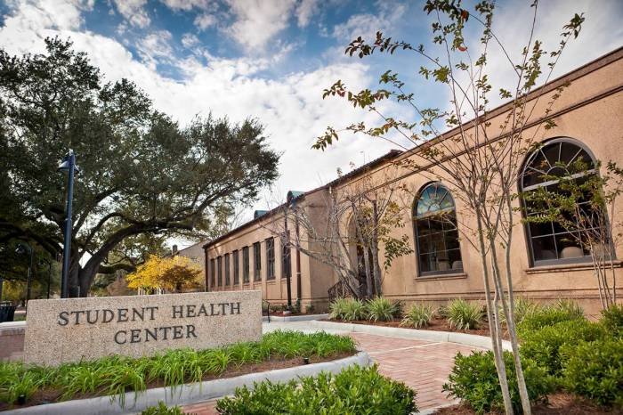 Lsu lsureveille infirmary sits